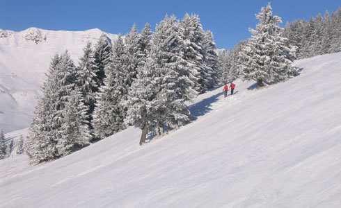 Ski & snowboard alpin